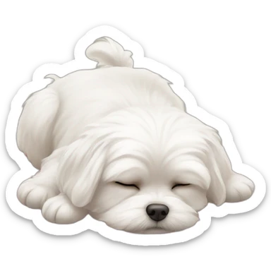 Maltese falling asleep sticker