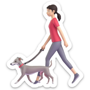 Beautiful Asian girl walking a solid grey Italian greyhound with absolutely no white markings, completely grey dog sticker
