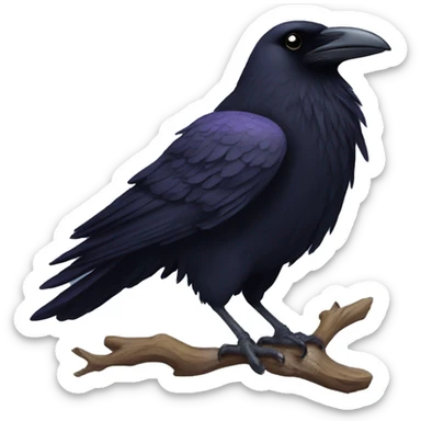 Raven sticker