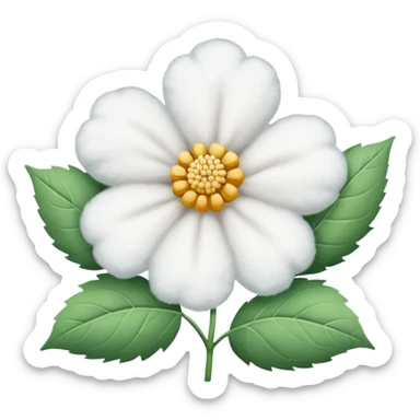 A flower of cotton sticker