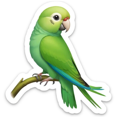 Green Quaker Parakeet sticker