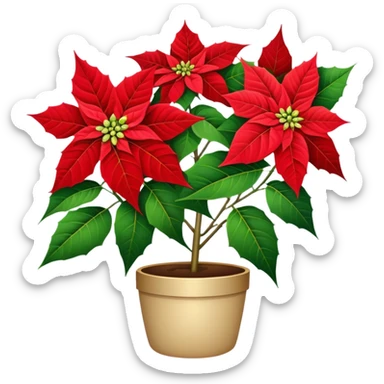 super big bouquet Poinsettia, stem, leaf sticker