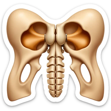 Ayudame a crear un emoji de pelvis sticker