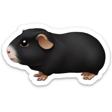 Black guineapig  sticker