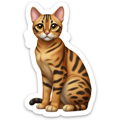 bengal cat sitting  sticker
