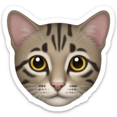 Kity patitas suaves sticker