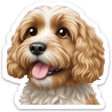 Cavapoo sticker
