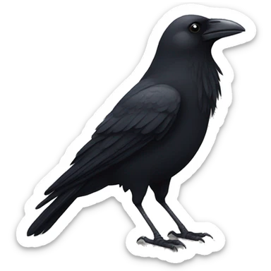 Crow sticker