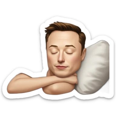 Elon Musk sleeping at Rihanna appart sticker