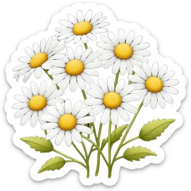 Chamomile sticker