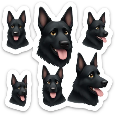 Black German Shepard missing ear sticker