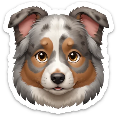 a cute merle and grey Australian Shepherd face sticker