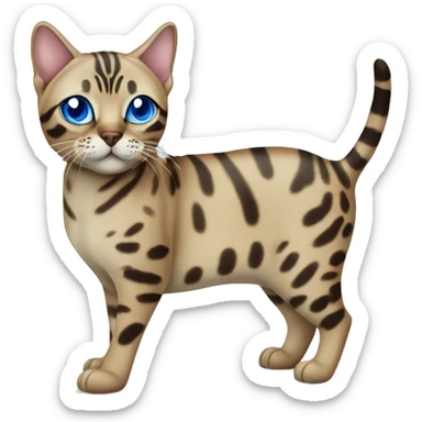 Seal Bengal cat with Blue eyes standing sticker