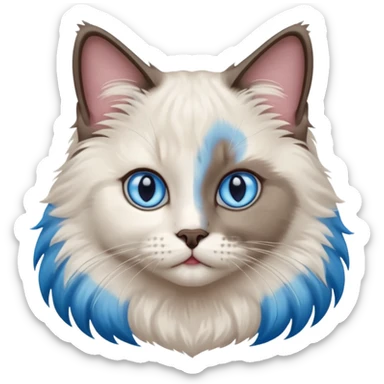 ragdoll, blue eyes, bi color sticker