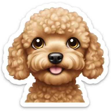 apricot toy poodle sticker