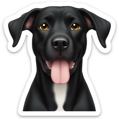 Black lab with pitbull ears and white paws sticker