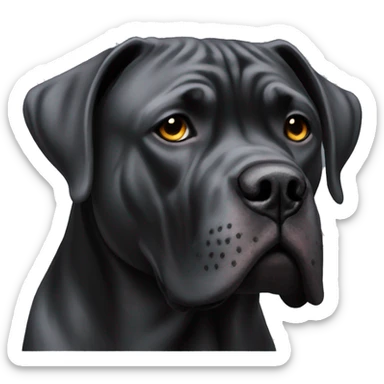 Cane Corso  sticker
