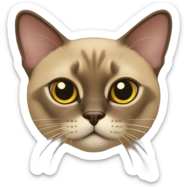 Burmese cat sticker