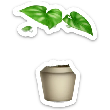 Pothos plant  sticker