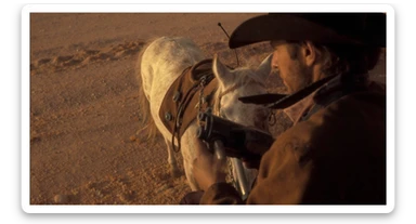 Cinematic , documentary photography, top angle medium shot, cowboy look eye brave, hard light golden hour, desert arizona, shot on arri alexa, 80s movie sticker