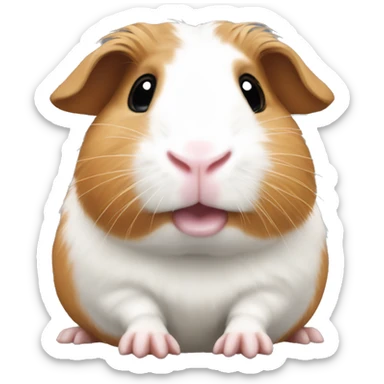 guineapig sticker