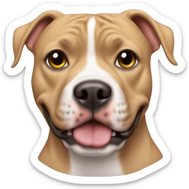 pitbul sticker