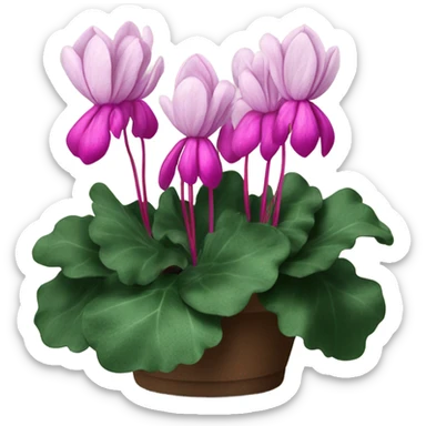 A scarlet bunch of cyclamen with a velvet bow and a vintage calligraphy set
 sticker