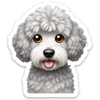 Create a small curly dog emoji with gray fur. Malti poo sticker