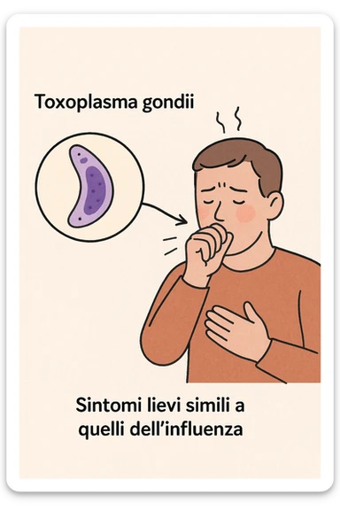 Toxoplasma gondii, infetta uomo ha sintomi solo di lieve influenza in italiano sticker