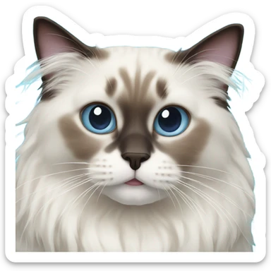 Ragdoll cat swimming pool sticker