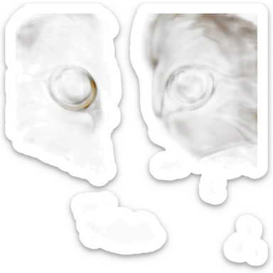 Chat angora tigré marron avec taches beiges sticker