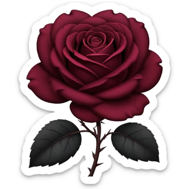 black rose, without green leaves, just flower sticker