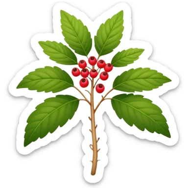 wild ginseng with small berries sticker