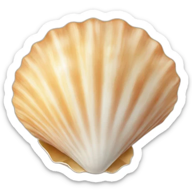 Seashell sticker