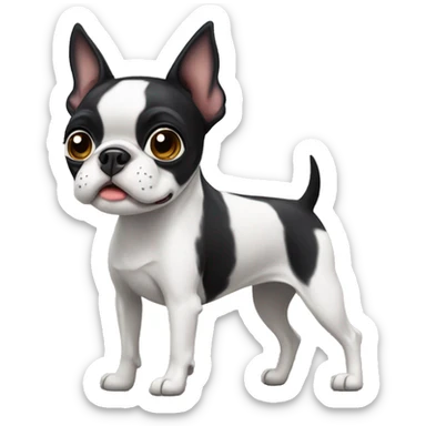 Boston terrier sticker