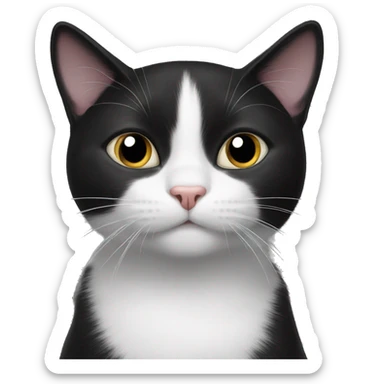 black and white cat sticker
