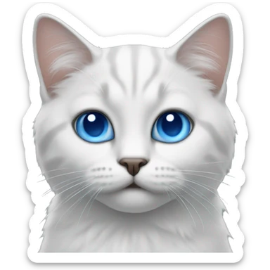 meow meow with blue eyes sticker