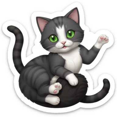 beautiful female solid dark grey cat with green eyes, white toes/paws and white patch on her chest playfully rolling upside down sticker