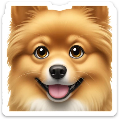 Pomeranian with snow on her nose sticker