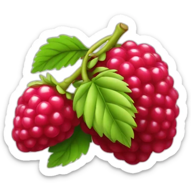 Framboise fruit sticker