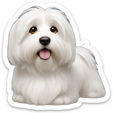 coton de tulear side by side corgy sticker