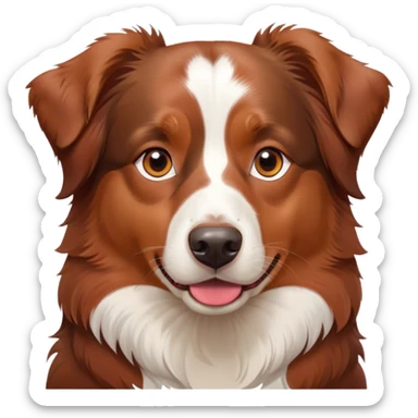 australian shepherd red-tri sticker