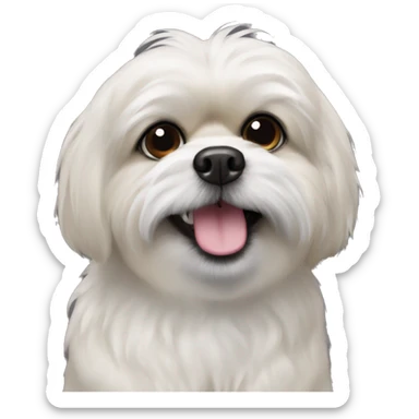Pekingese poodle mix black dog with white chest only and underbite with teeth showing  sticker