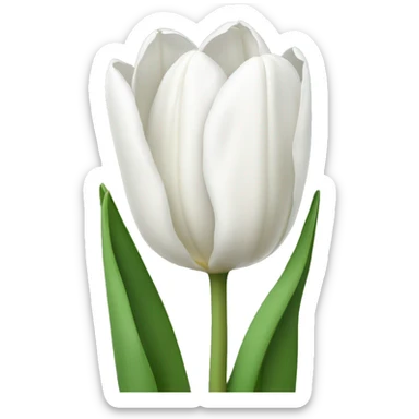 White tulips  sticker