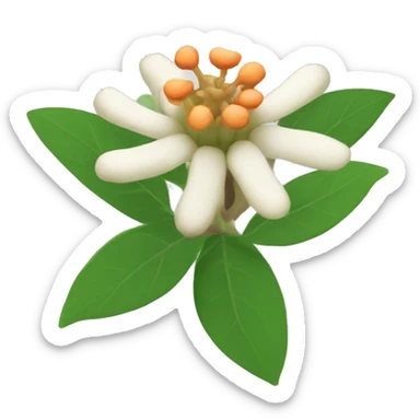 ashwagandha flower sticker