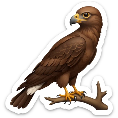 buzzard sticker