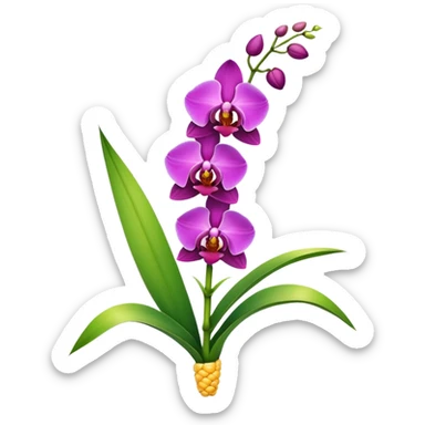 Orchid from a corn stalk sticker