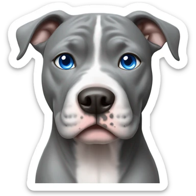 Grey pitbull with blue eyes  sticker