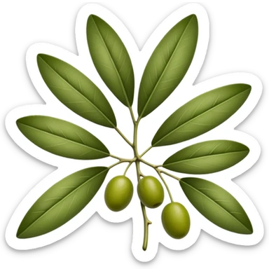 olive leaves sticker