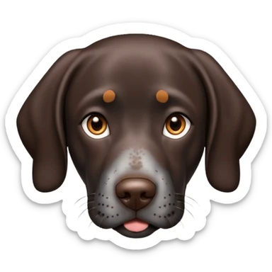 black German shorthair pointer dog face sticker